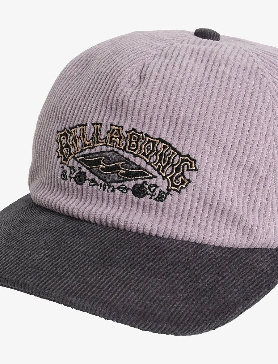 Billabong - HERITAGE STRAPBACK - caps - quail - 5