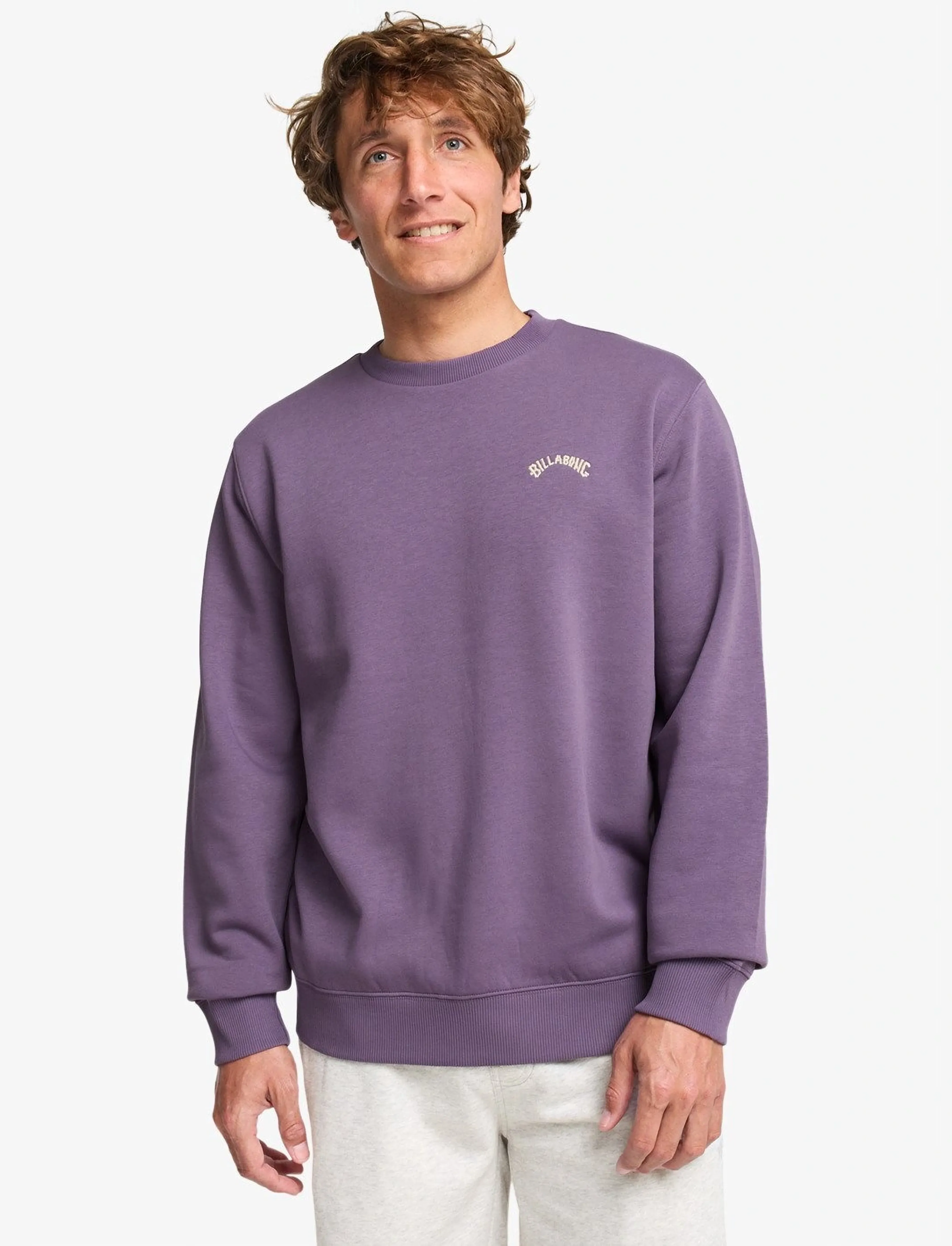 Billabong ARCH CR - Sweatshirts - DUSTY GRAPE / purple