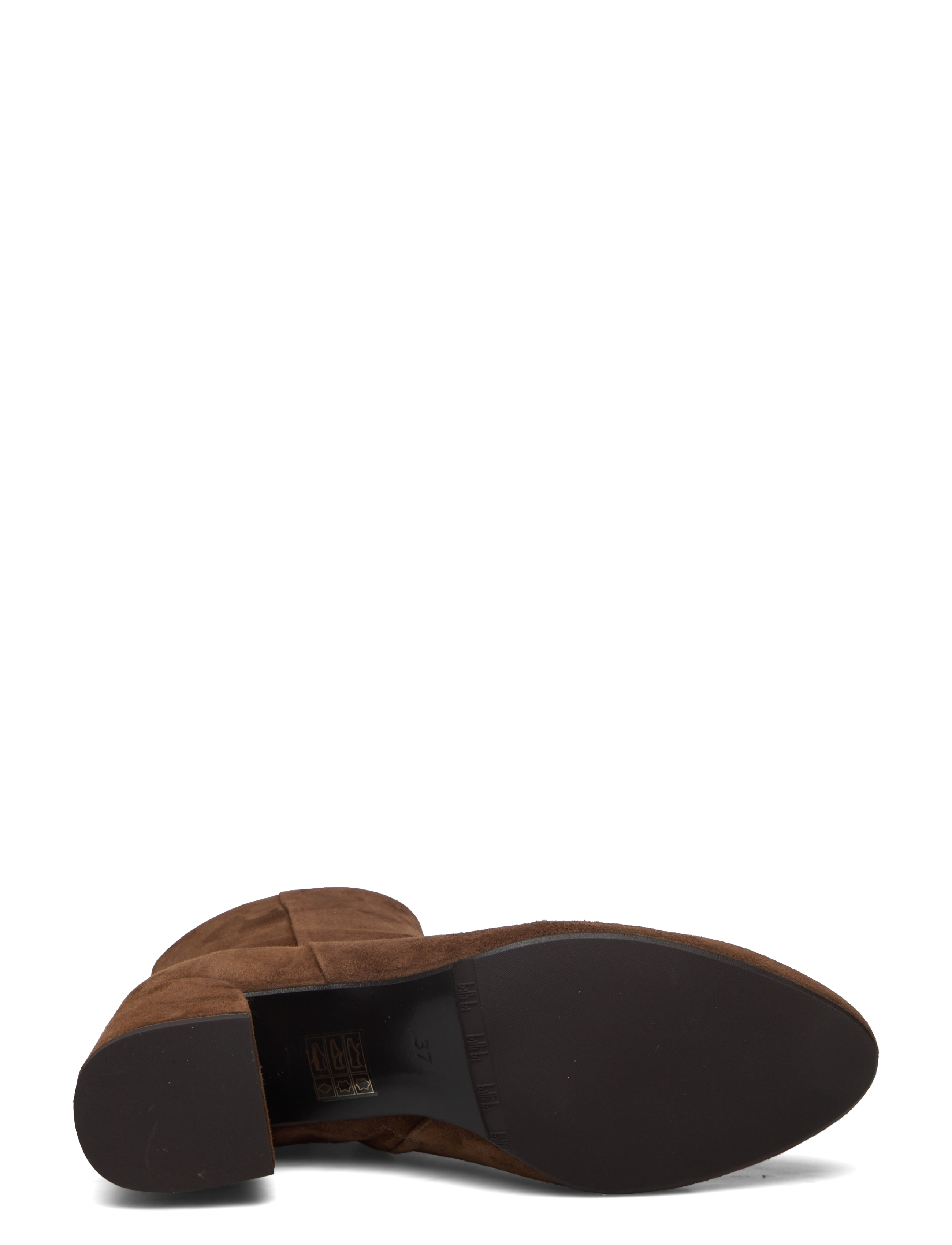 Billi Bi - Booties - brown marrone suede - 4