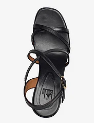 Billi Bi - A4112 - party wear at outlet prices - black calf - 3