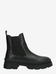 Billi Bi - Boots - chelsea boots - black calf 80 - 1
