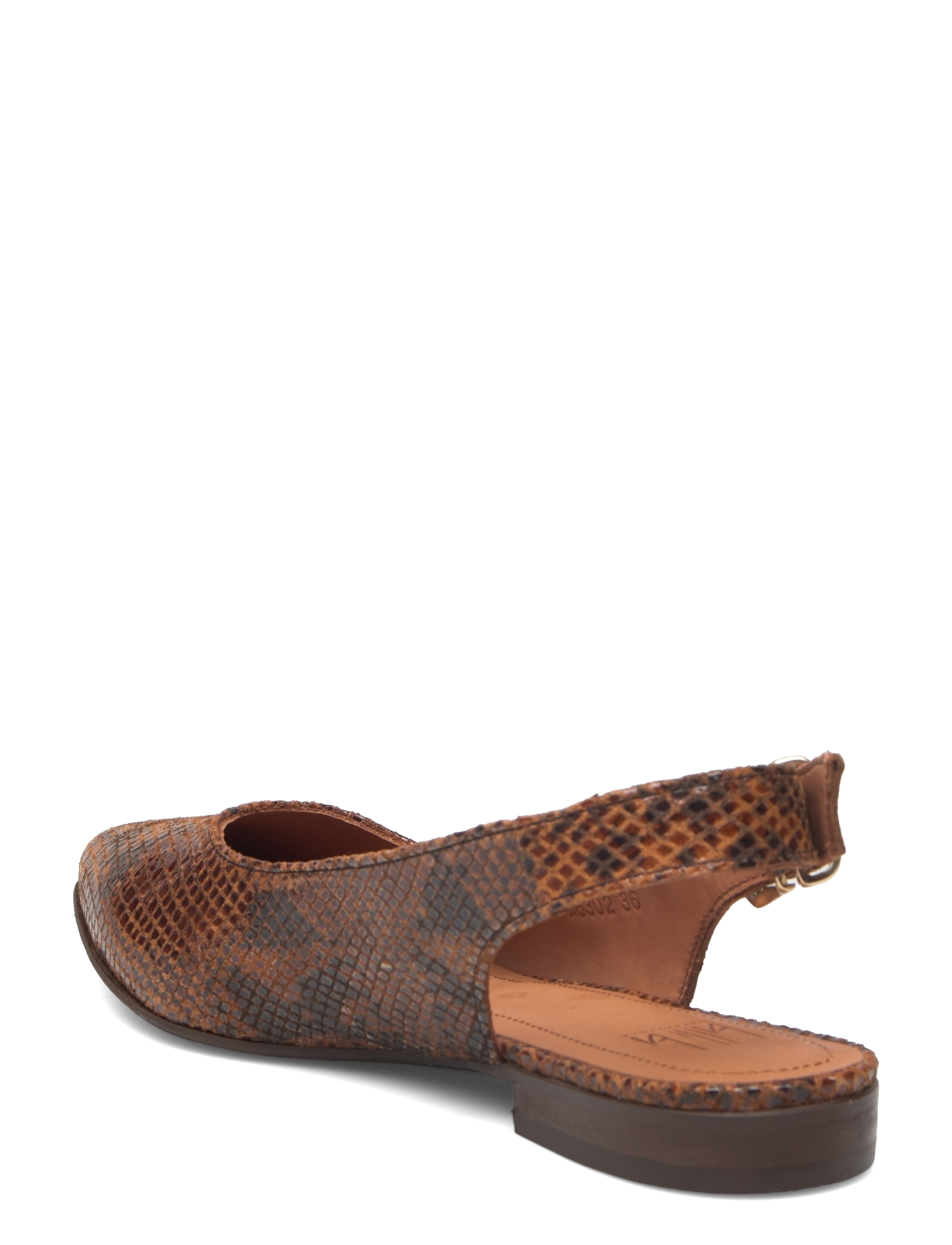 Billi Bi - Ballerina - cognac snake - 2