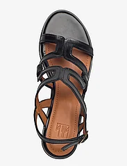 Billi Bi - Sandals - sandaletit - black calf - 3