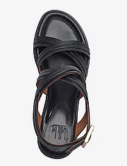 Billi Bi - Sandals - sandaletit - black nappa - 3