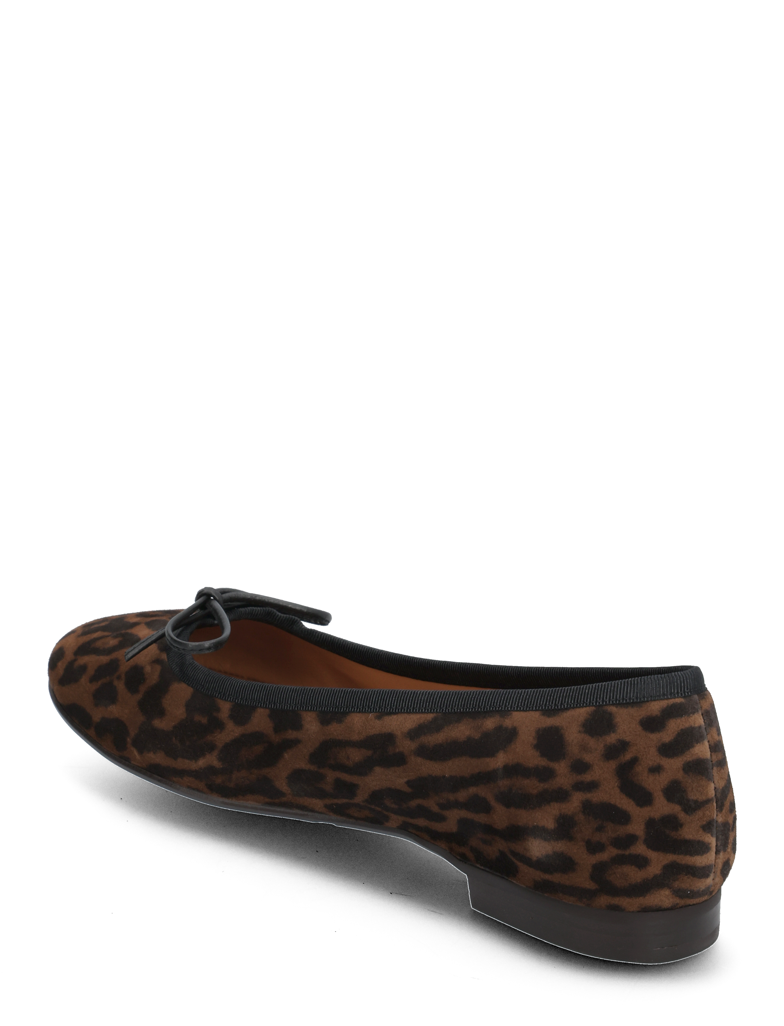 Billi Bi - Ballerina - leopardo arabica suede - 2