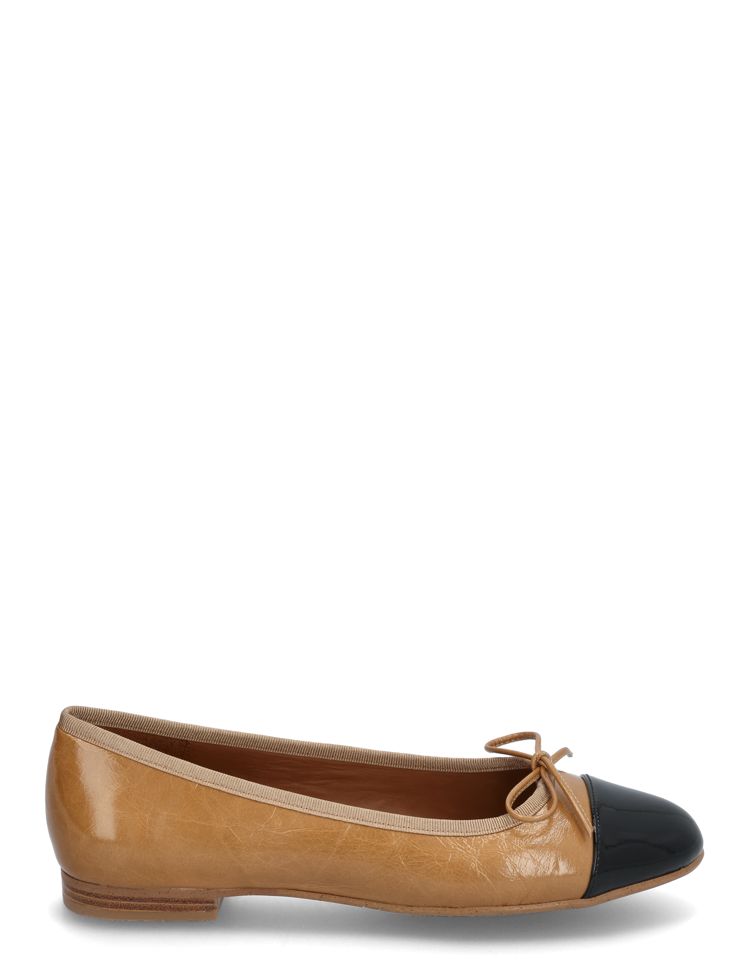 Billi Bi - Ballerina - speciella tillfällen - black patent/cammeo - 1