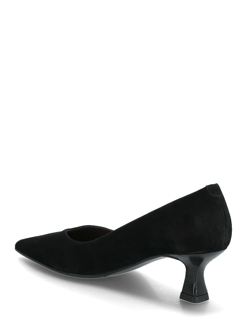 Billi Bi - Pumps - pumps - black suede - 2