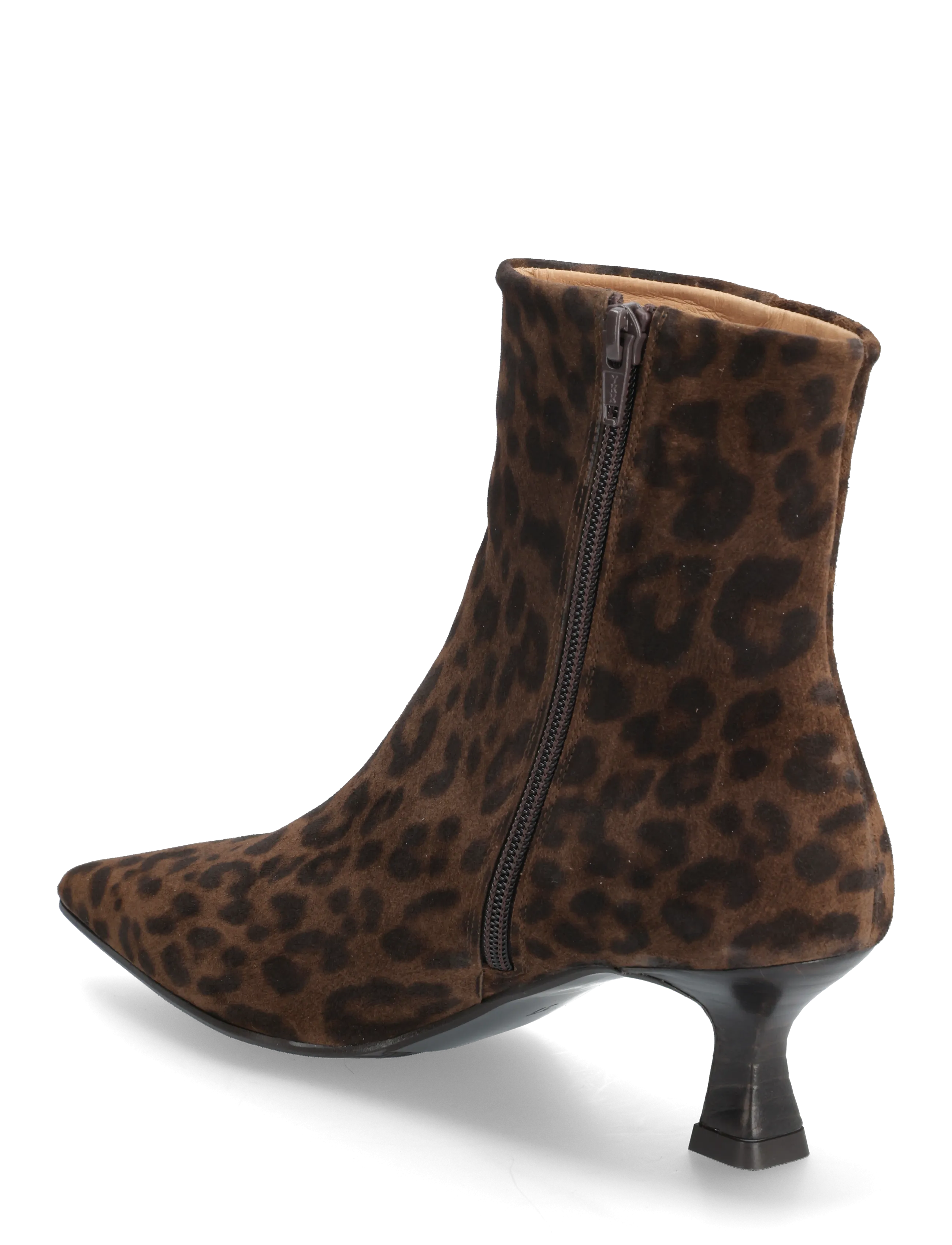 Billi Bi - Booties - hohe absätze - leo.titus arabica suede - 2