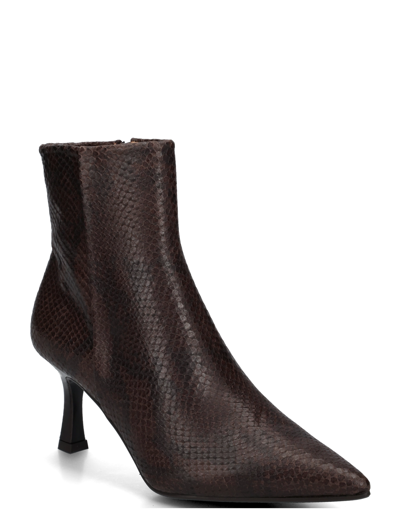 Billi Bi Booties - Schuhe - T.MORO SNAKE / brown