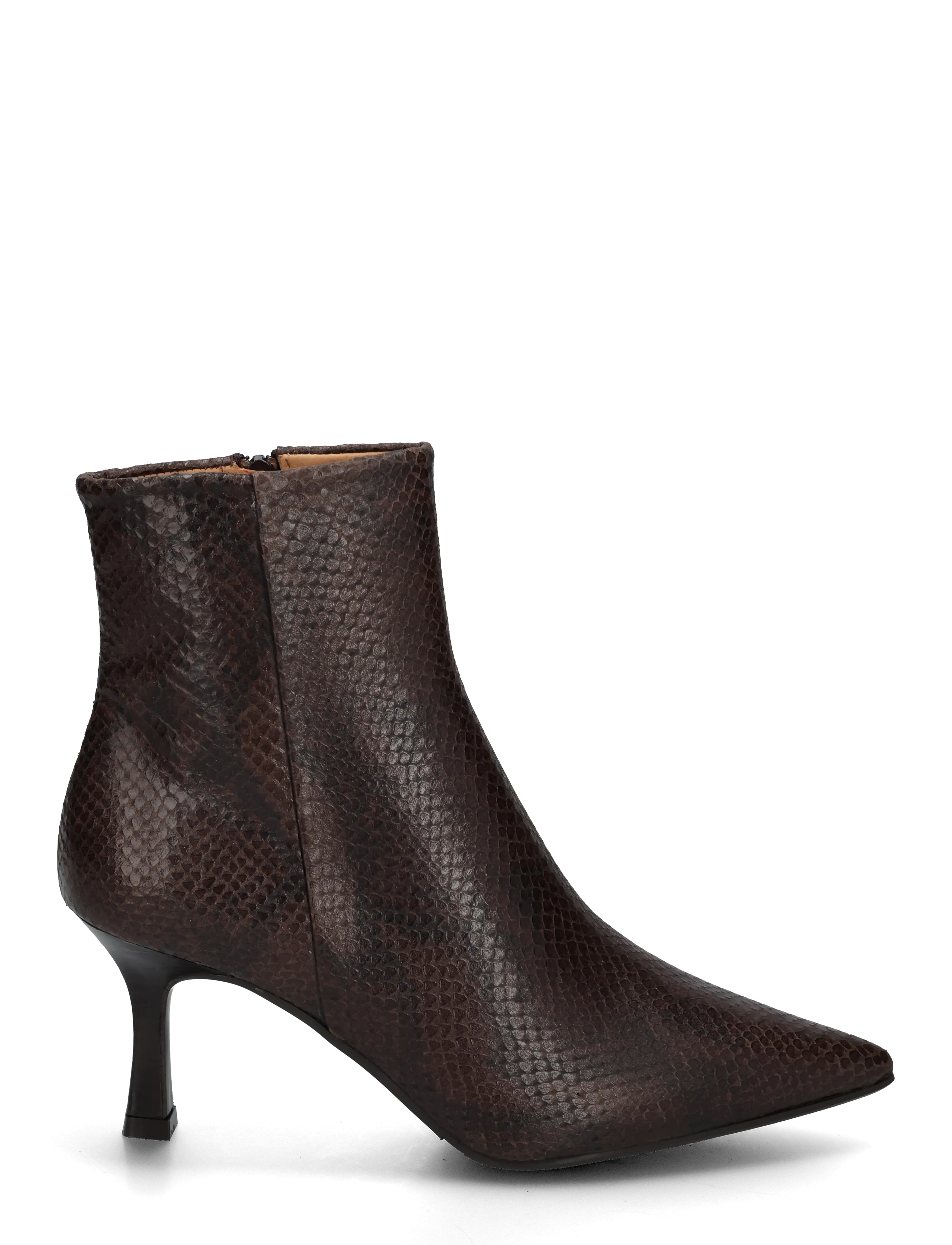 Billi Bi - Booties - kontsaga poolsaapad - t.moro snake - 2