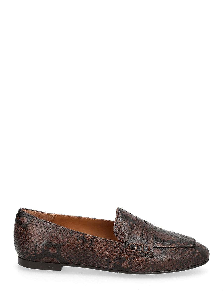 Billi Bi - Shoes - modetrends - t.moro snake - 1