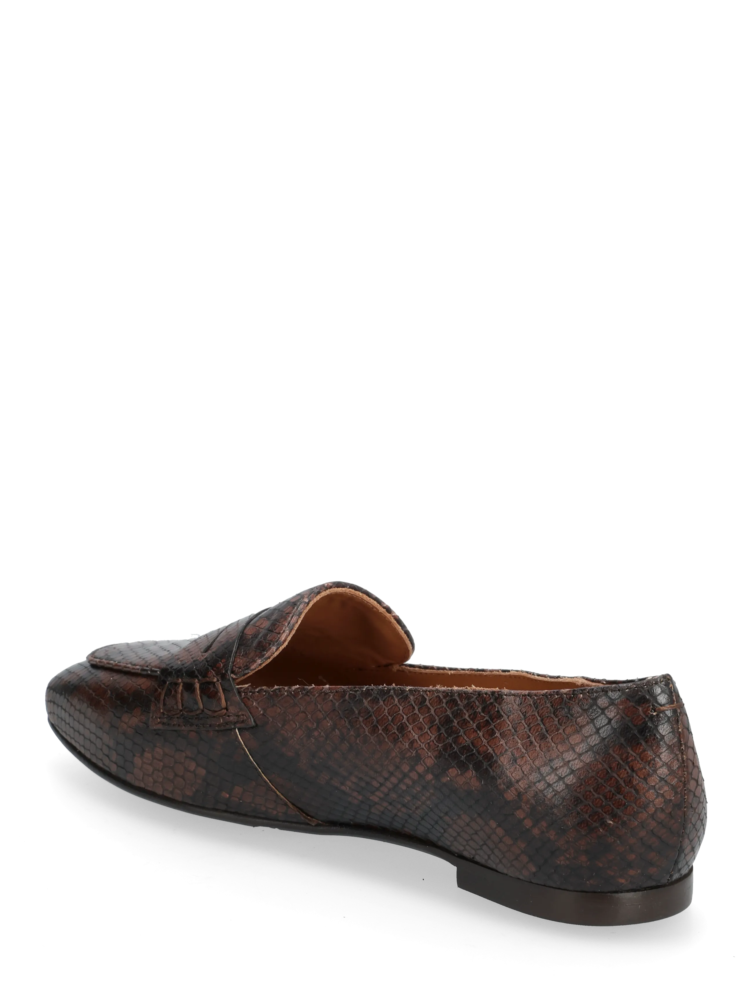 Billi Bi - Shoes - modetrends - t.moro snake - 2
