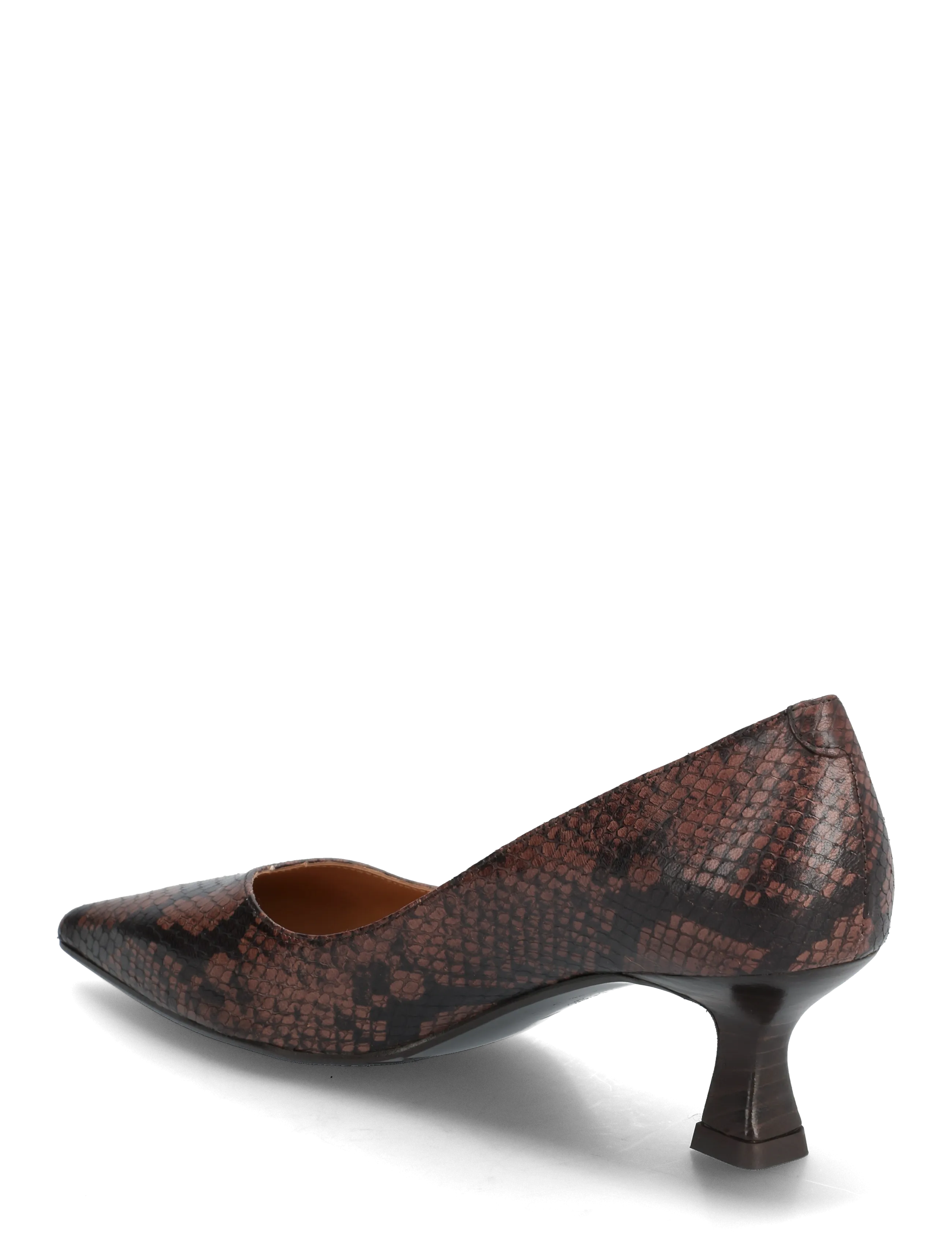 Billi Bi - Pumps - pumps - t.moro snake - 2