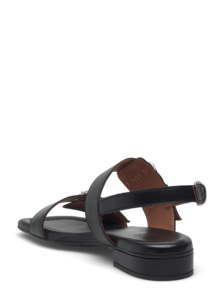 Billi Bi - Sandals - madalad sandaalid - black nappa - 2