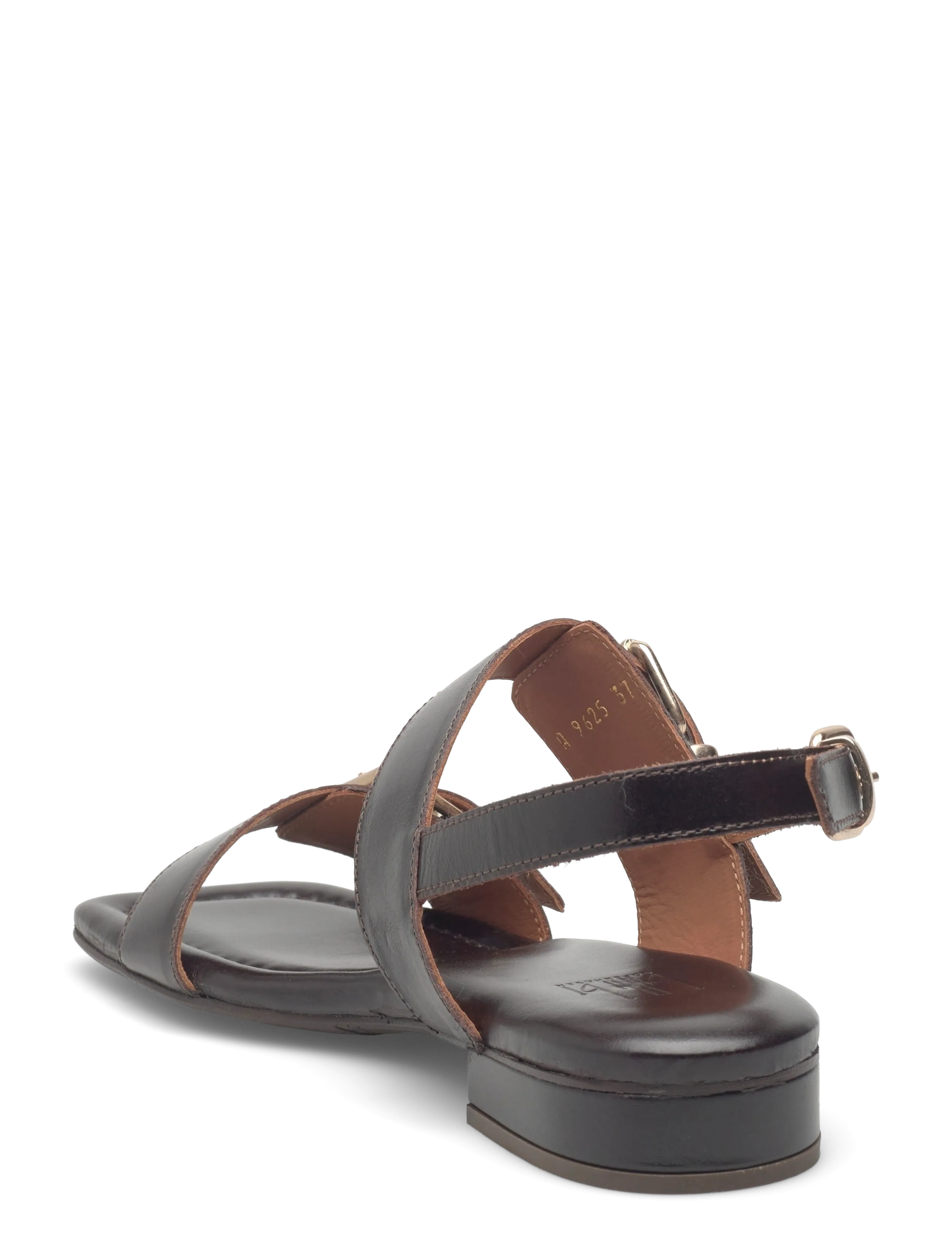 Billi Bi - Sandals - platta sandaler - t.moro  calf - 2