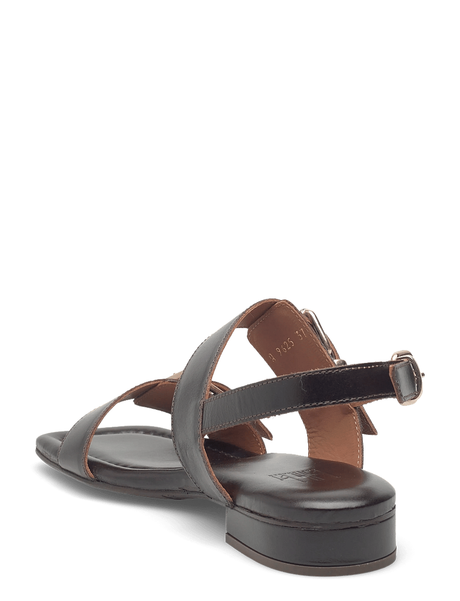 Billi Bi - Sandals - madalad sandaalid - t.moro calf - 2