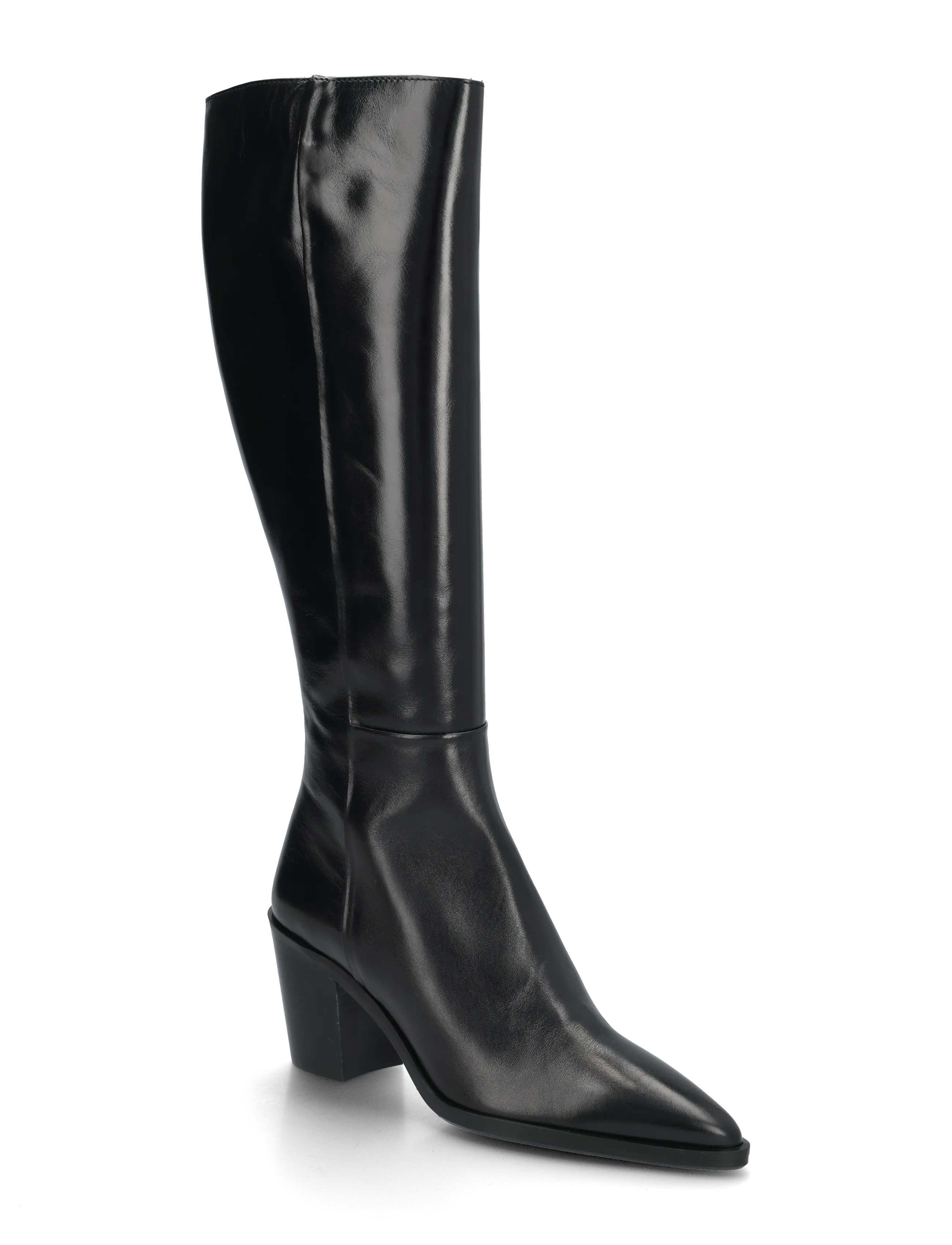 Billi Bi Long Boots - Hohe Stiefel - BLACK CALF / black