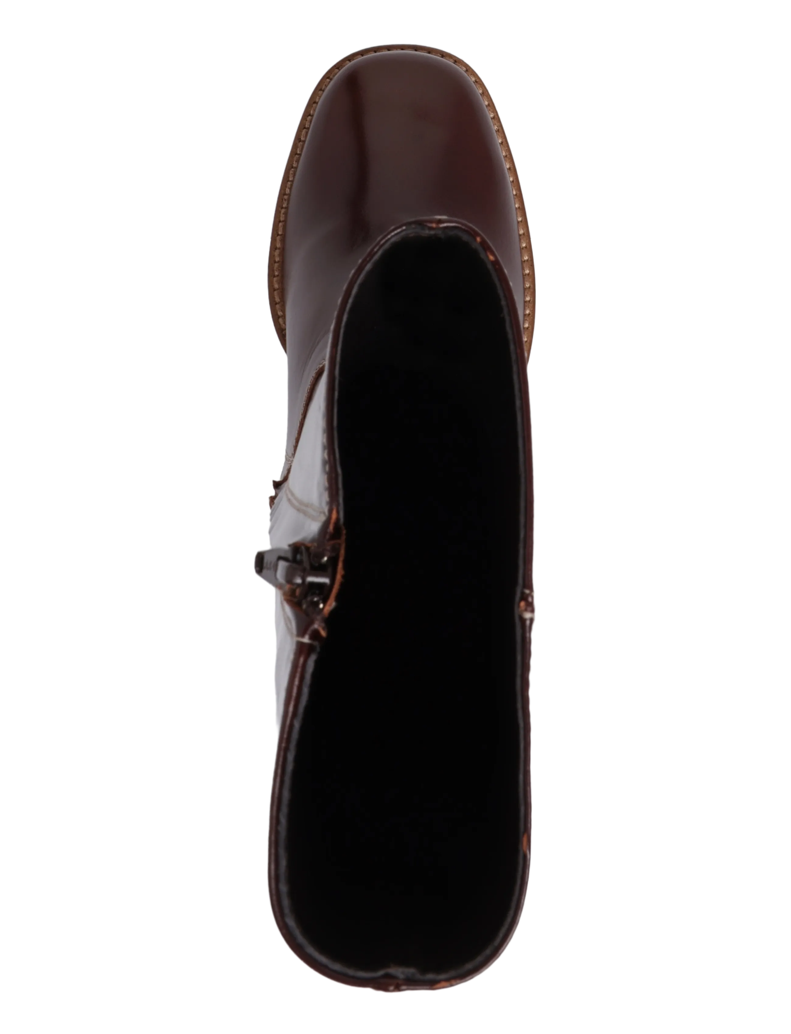 Billi Bi - Booties - tan marte calf - 3