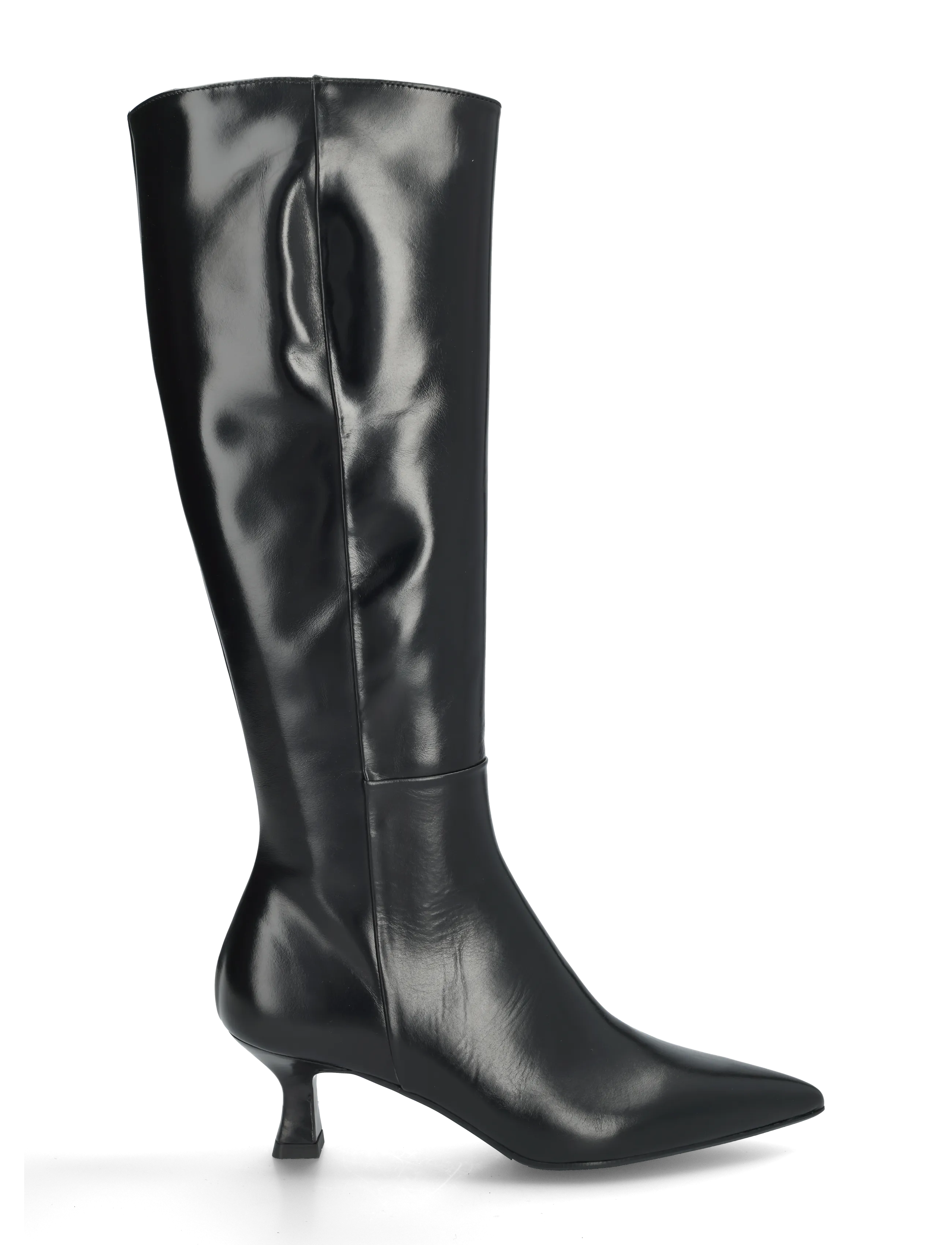 Billi Bi - Long Boots - black calf - 2