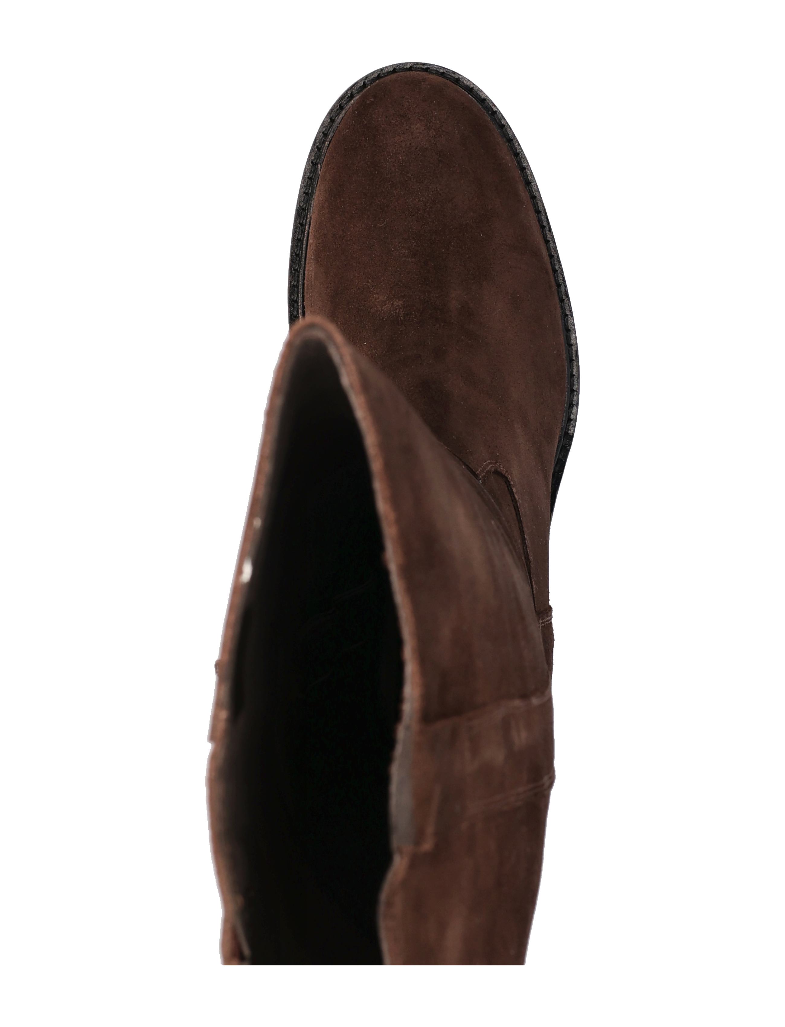 Billi Bi - Long Boots - t.moro suede - 3