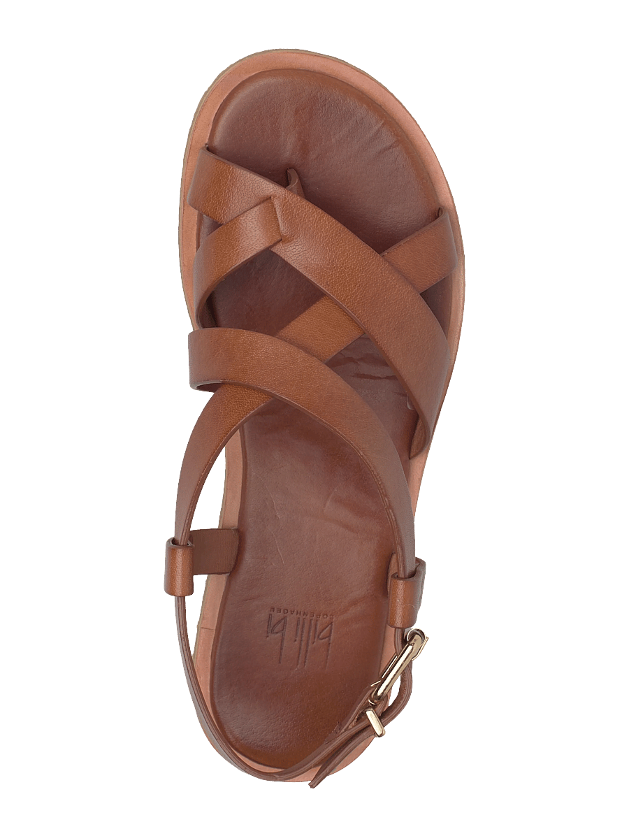 Billi Bi - Sandals - gladiatorsandaler - camel calf - 3