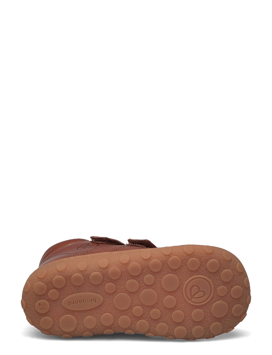 Bisgaard - bisgaard hale v lamb - brandy - 4