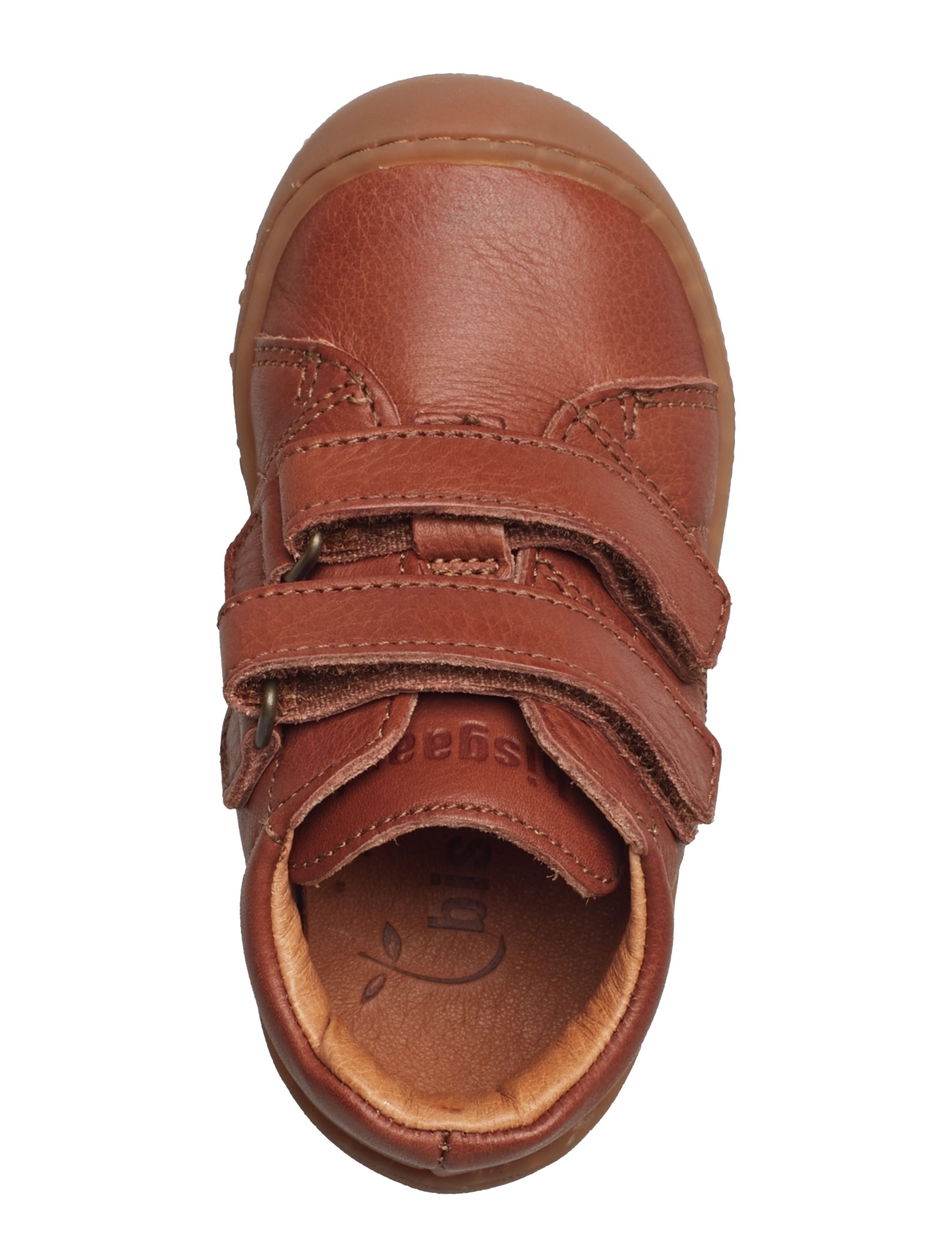 Bisgaard - bisgaard hale v - brandy - 3
