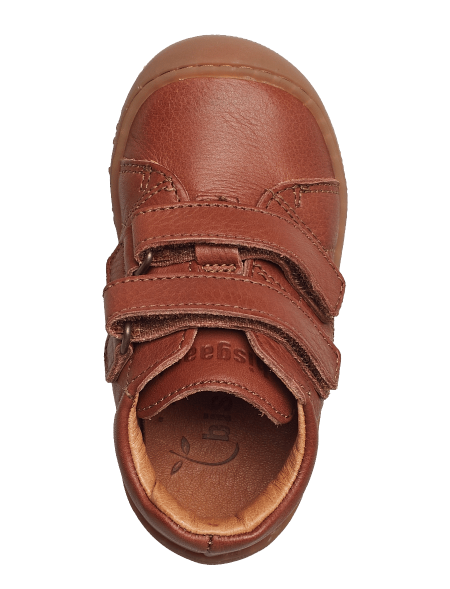 Bisgaard - bisgaard hale v - brandy - 3