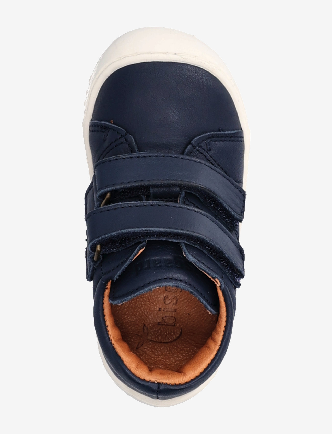 Bisgaard - bisgaard hale v - midnight - 3