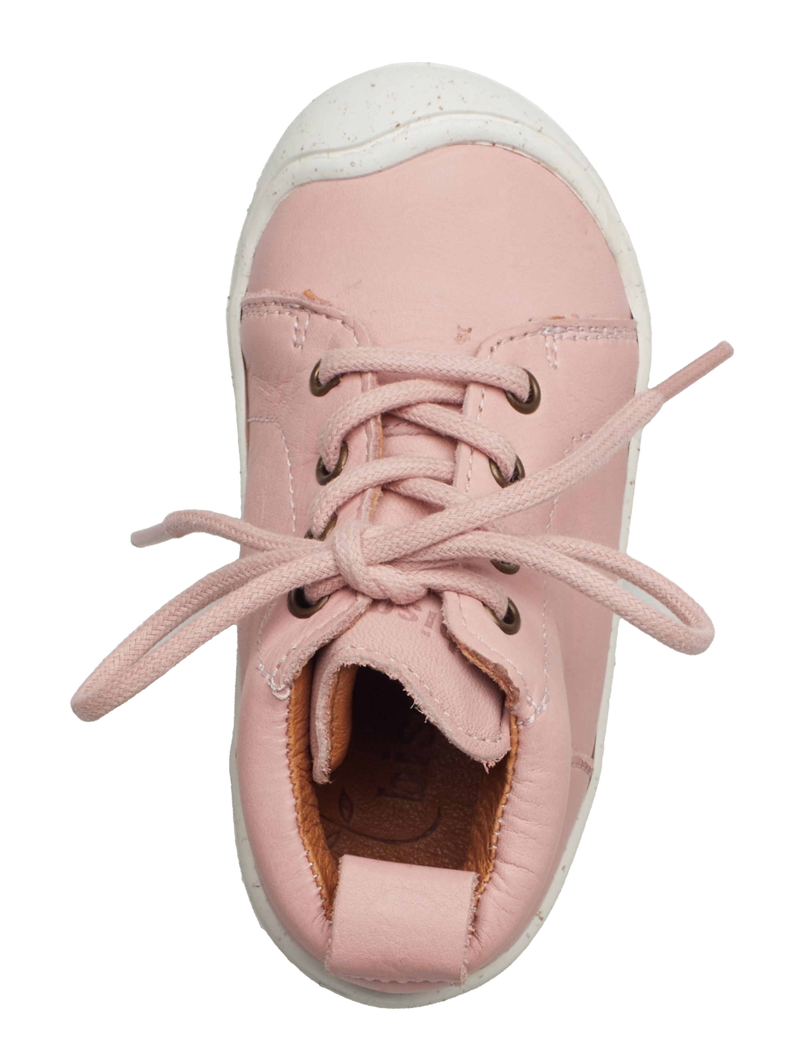 Bisgaard - bisgaard sara l - rose - 3