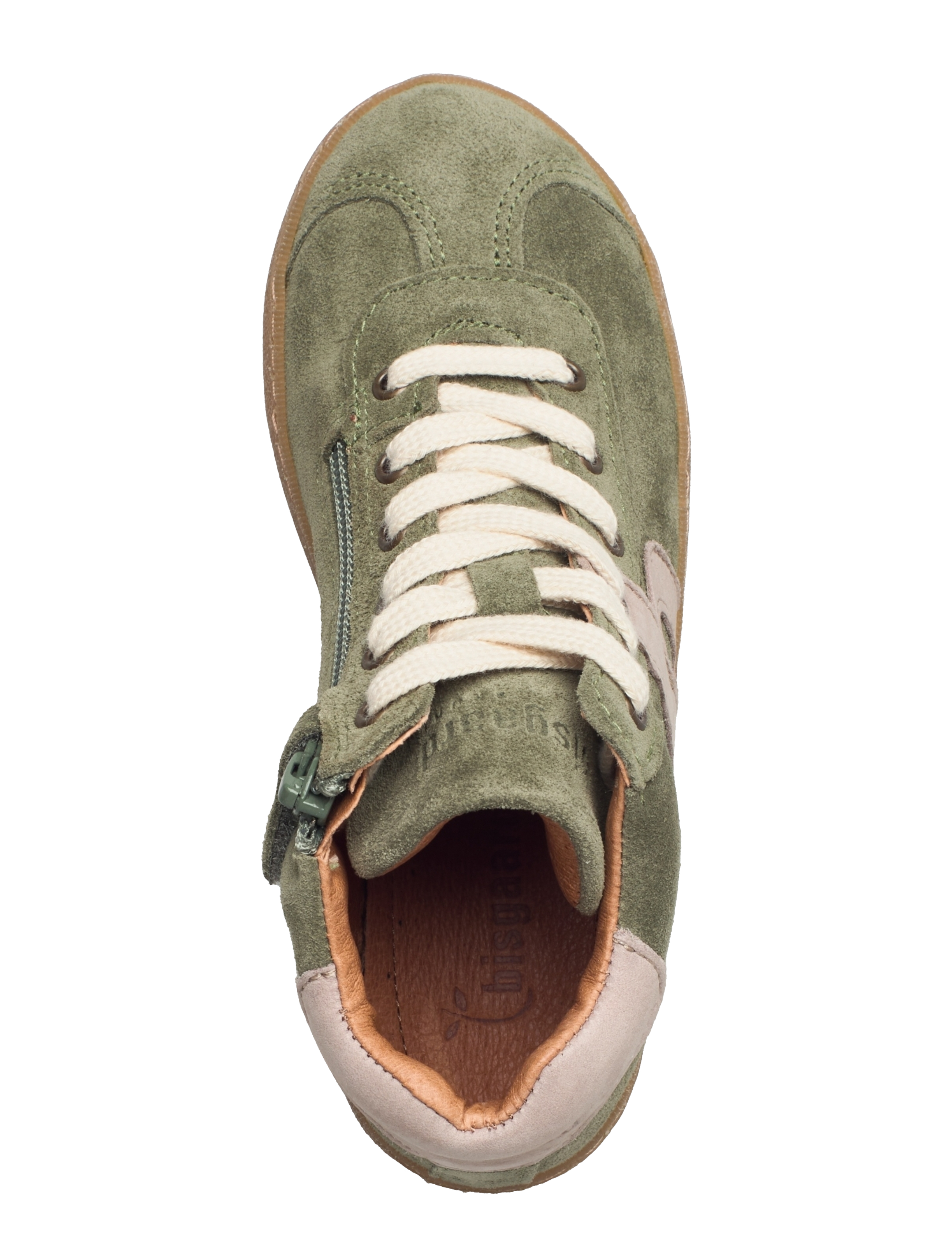 Bisgaard - bisgaard havana - forest - 3