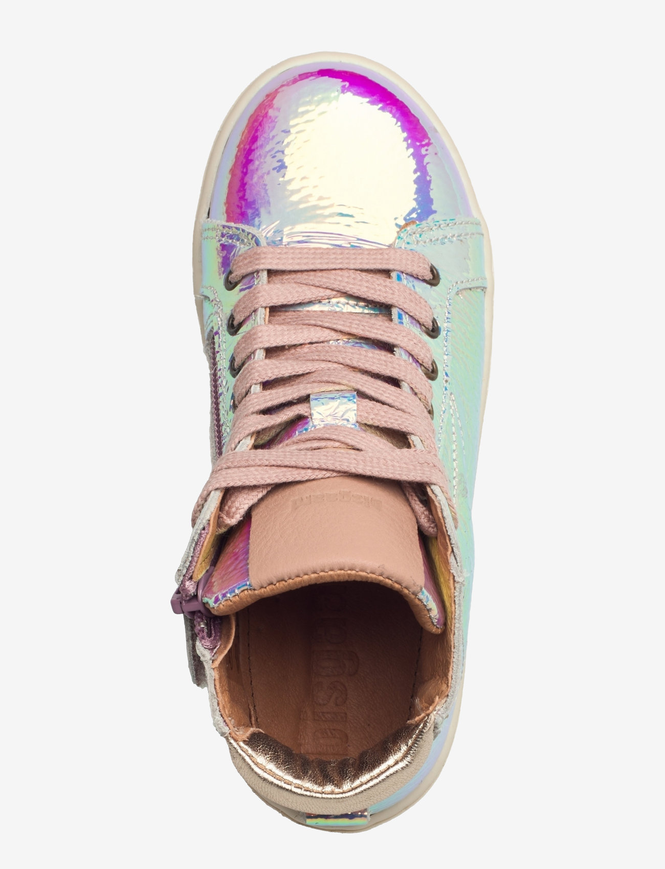 Bisgaard - bisgaard gaia l - galaxy - 3