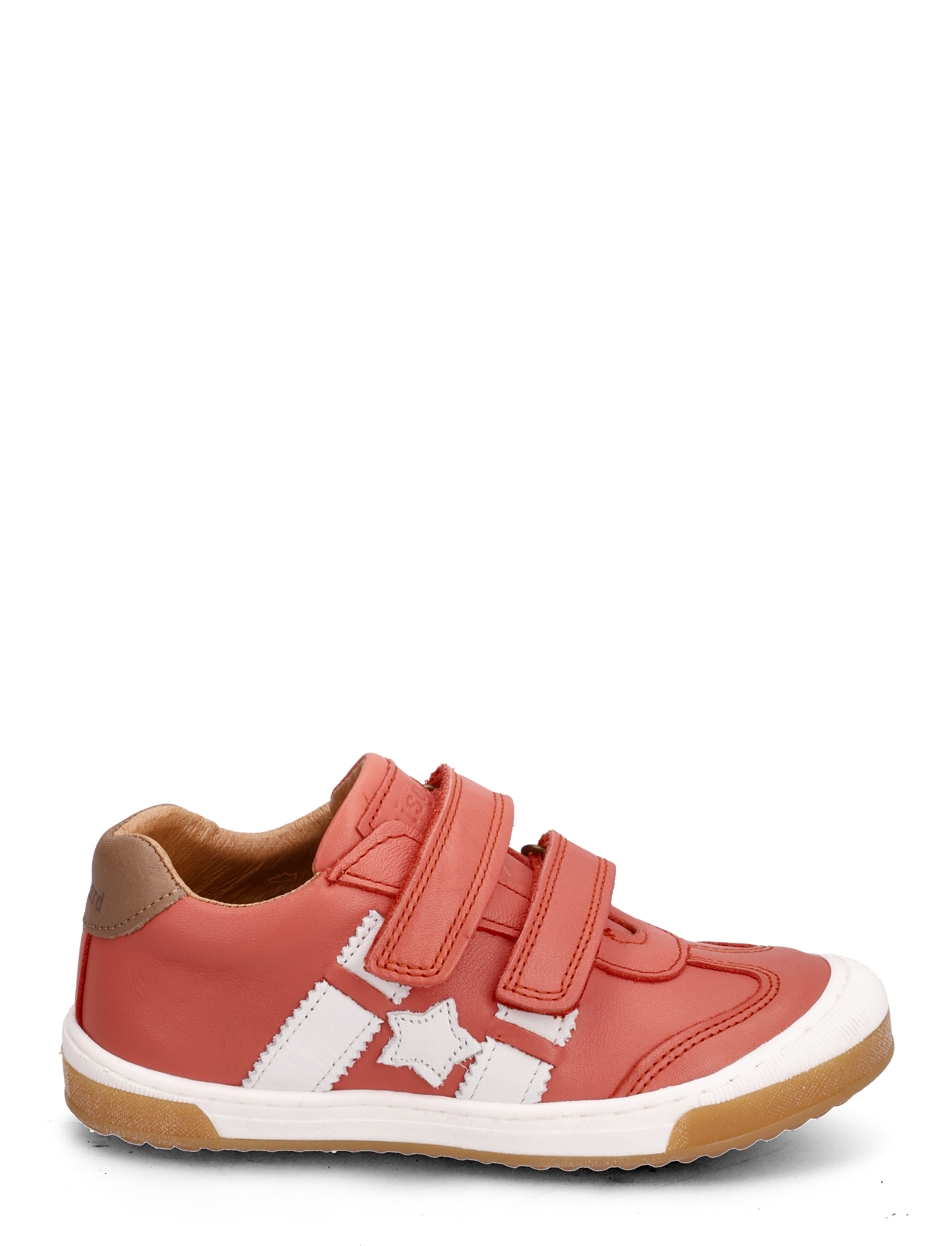 Bisgaard - bisgaard johan - coral - 1