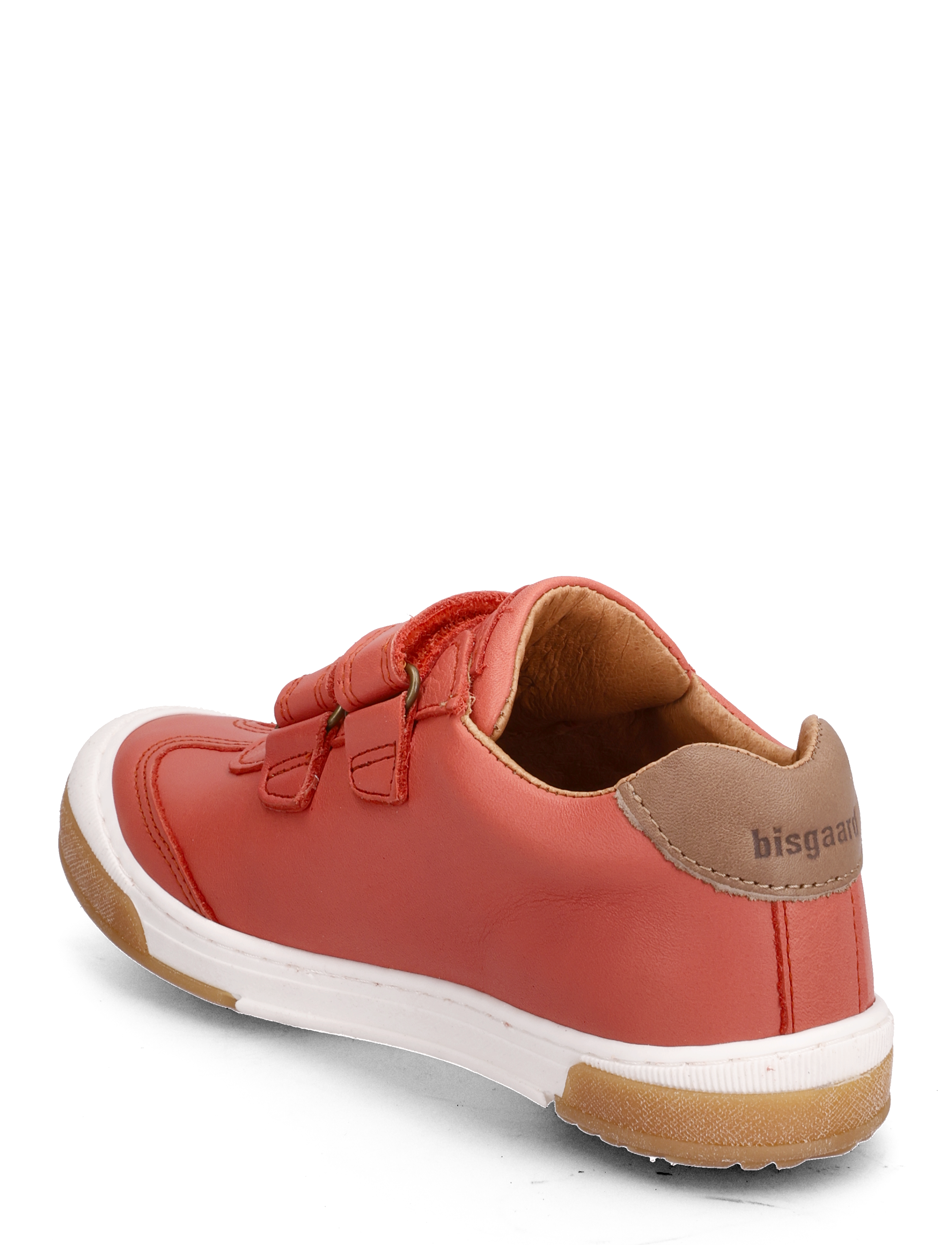 Bisgaard - bisgaard johan - coral - 2