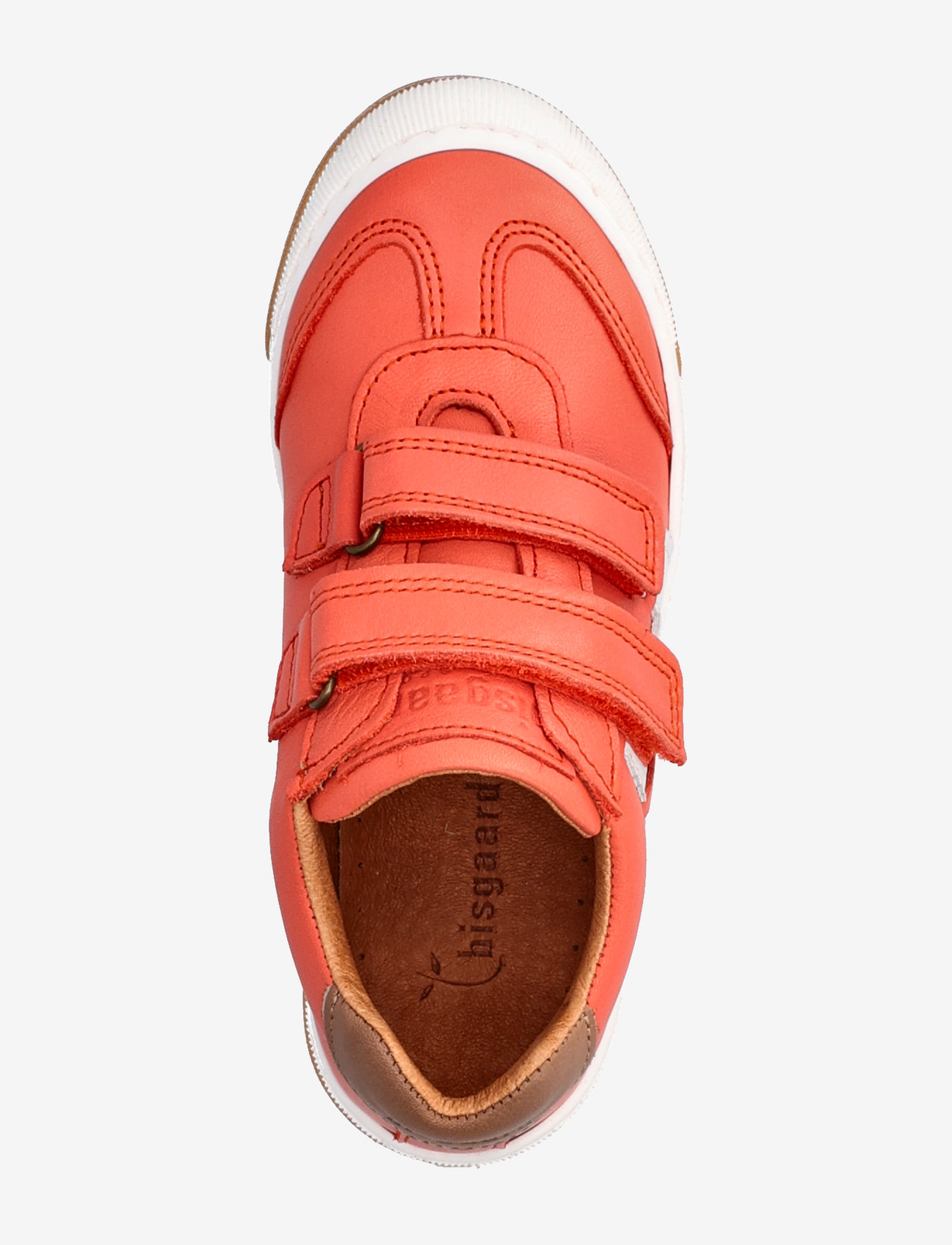 Bisgaard - bisgaard johan - coral - 3