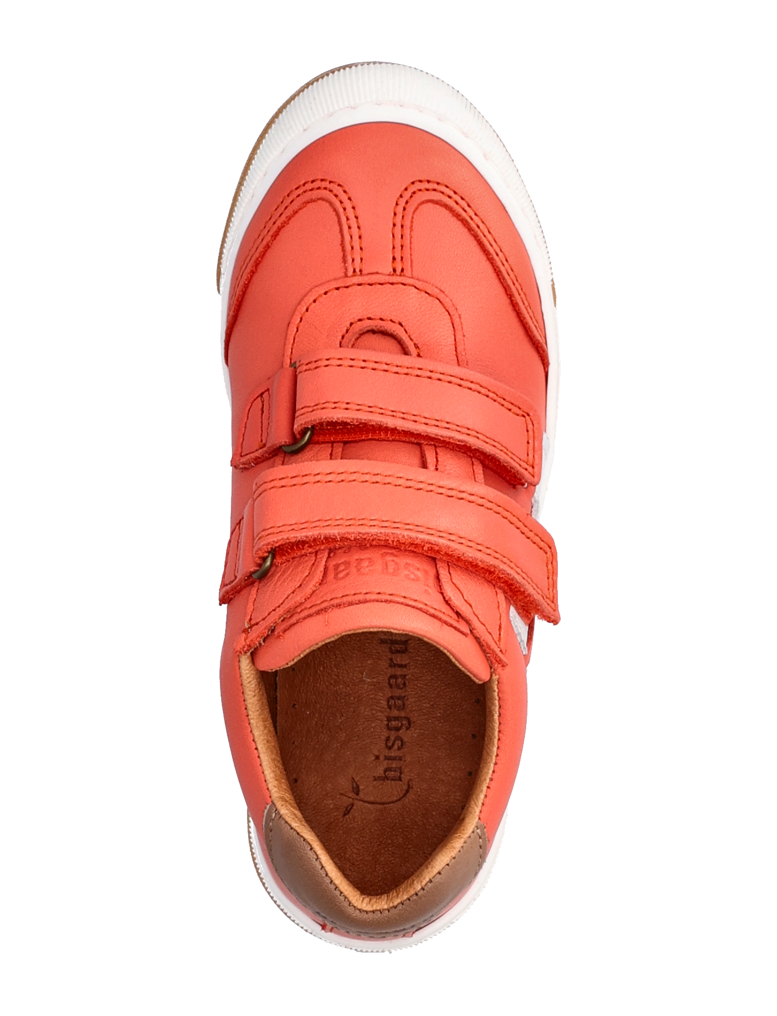 Bisgaard - bisgaard johan - coral - 3