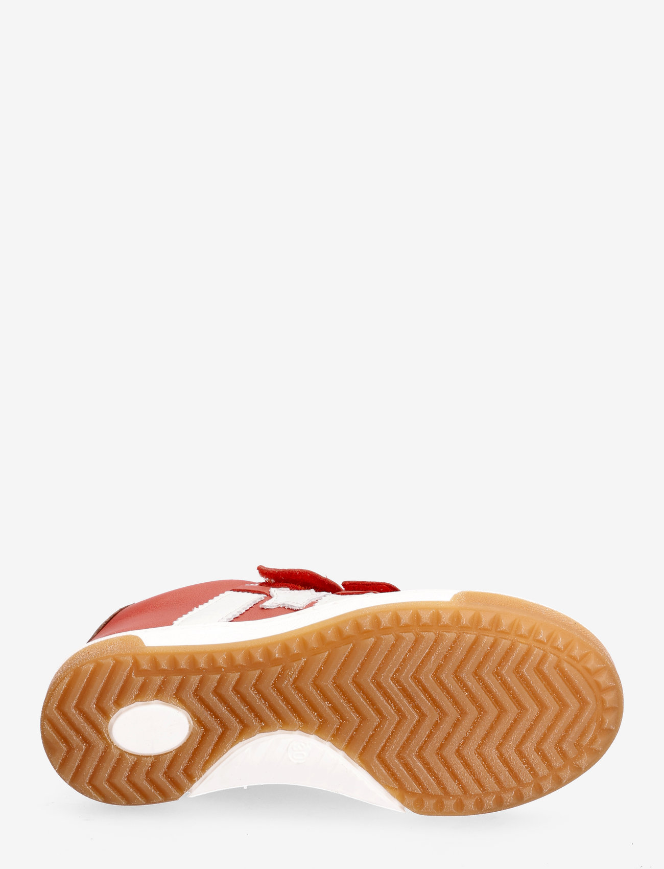 Bisgaard - bisgaard johan - coral - 4