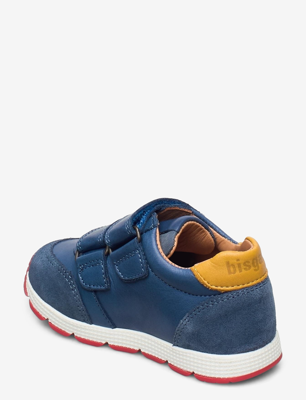 Bisgaard - bisgaard liam - stellar - 2