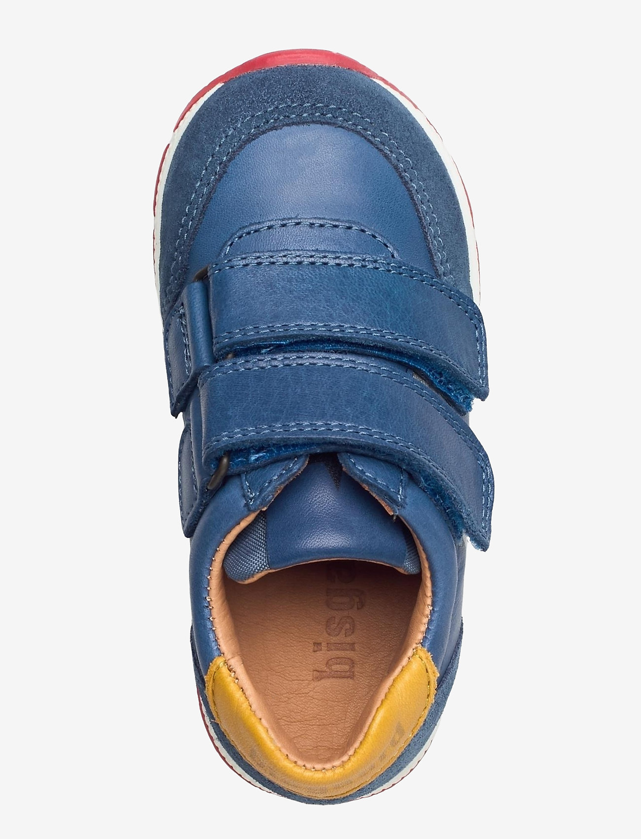 Bisgaard - bisgaard liam - stellar - 3