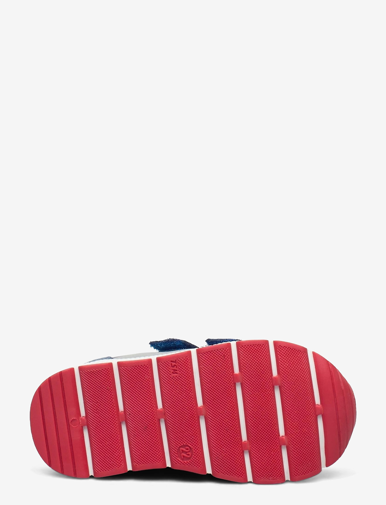 Bisgaard - bisgaard liam - stellar - 4