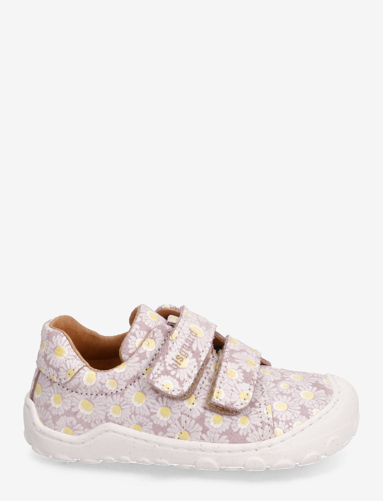 Bisgaard - bisgaard freddy - rose flowers - 1