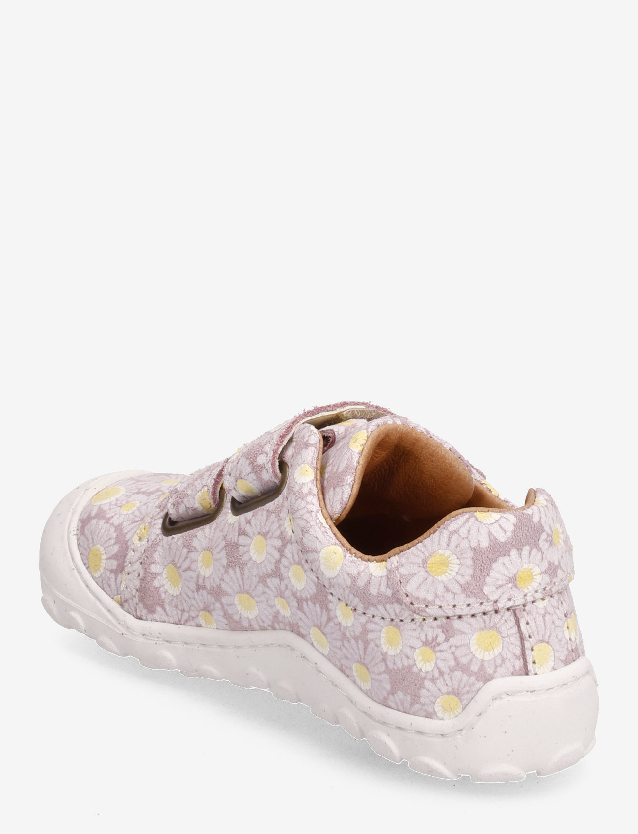 Bisgaard - bisgaard freddy - rose flowers - 2