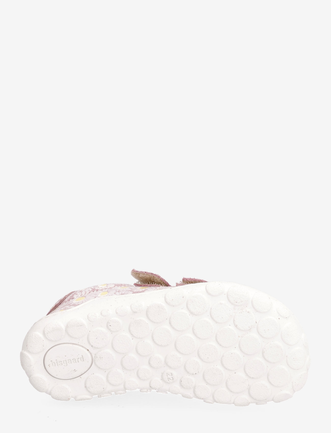 Bisgaard - bisgaard freddy - rose flowers - 4