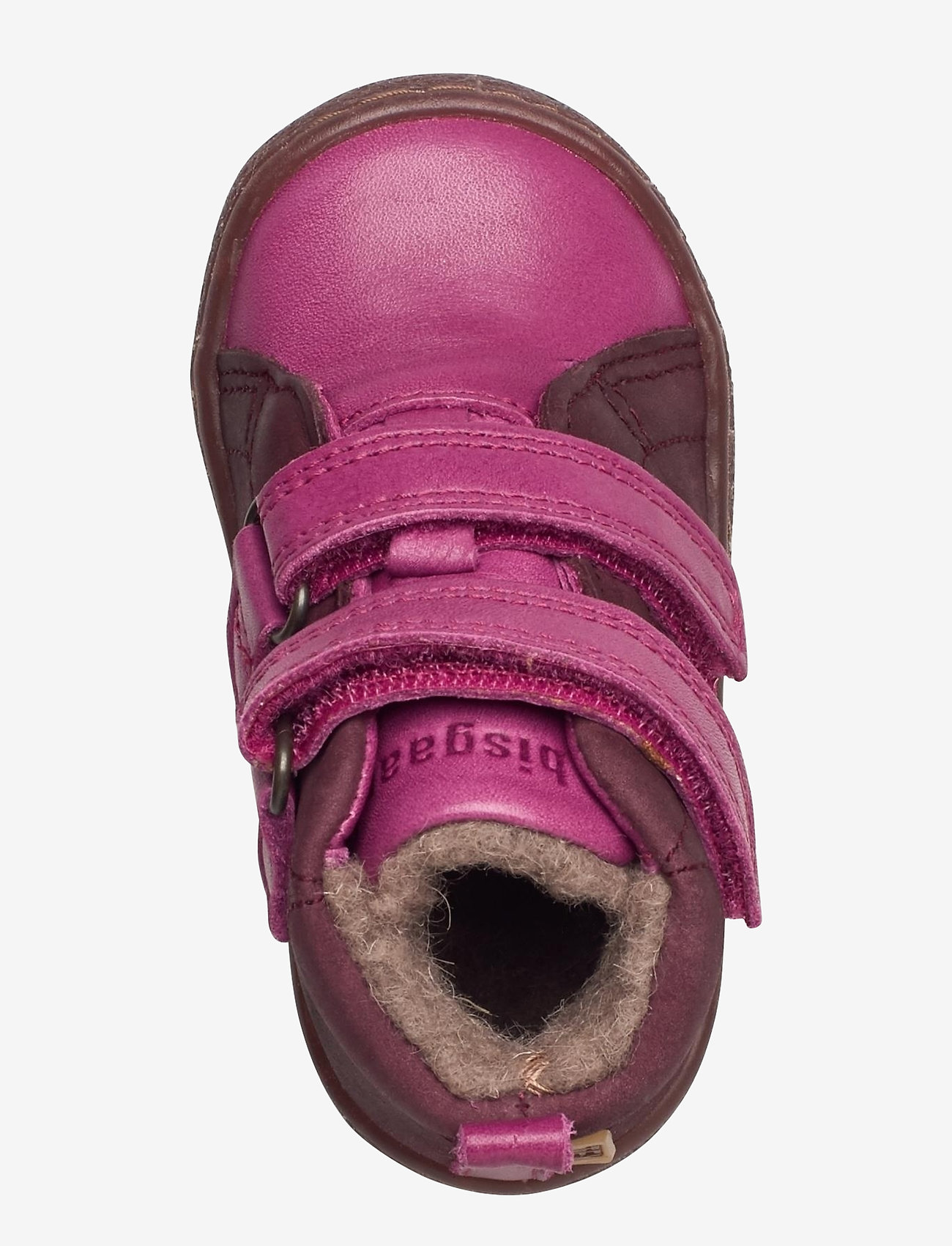 Bisgaard - bisgaard eli - fuxia - 3