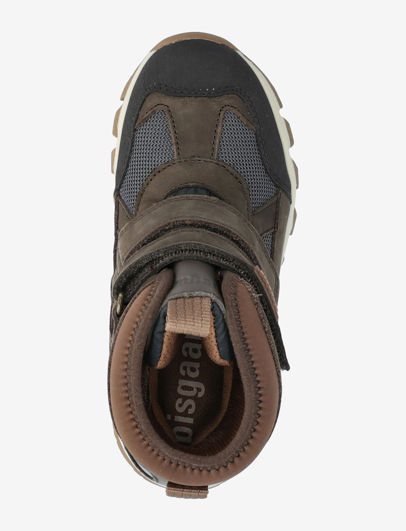 Bisgaard - bisgaard edon tex - forrest - 3