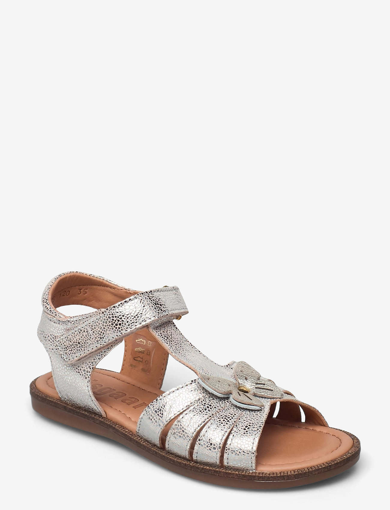 Bisgaard bea - OCEAN