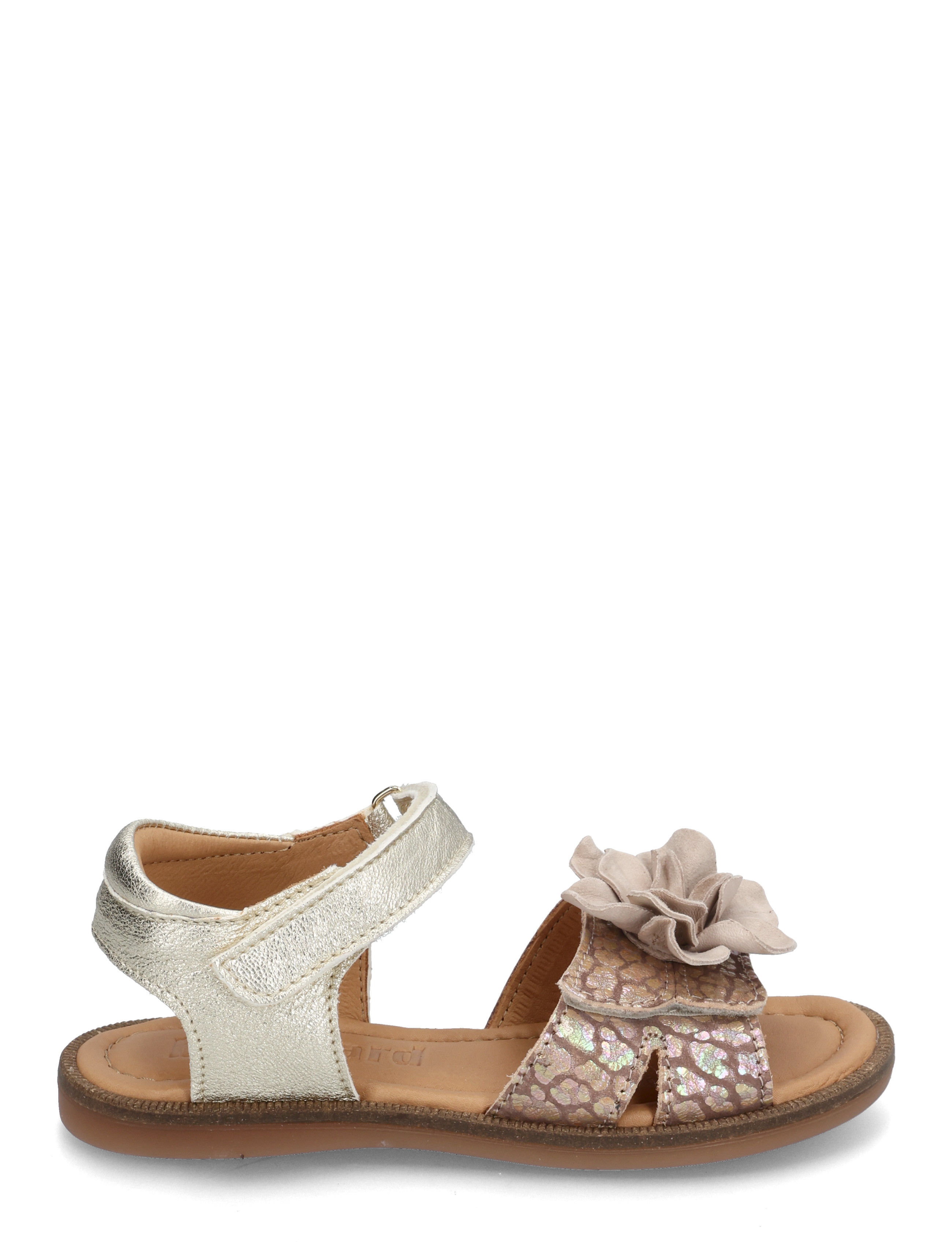 Bisgaard - bisgaard agnes - champagne - 2