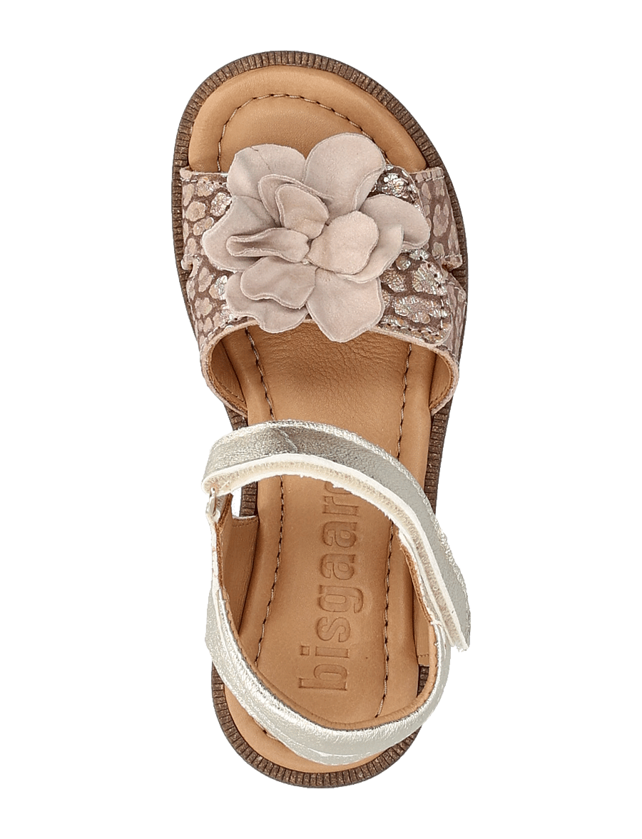 Bisgaard - bisgaard agnes - champagne - 4