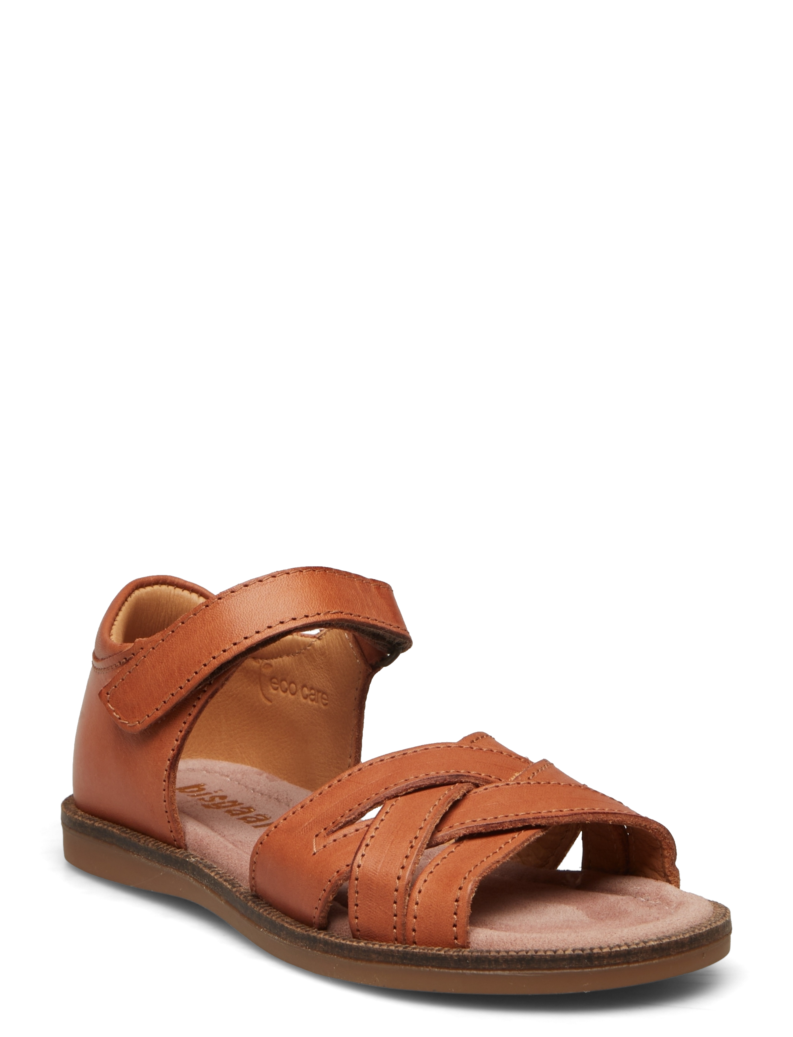 TAN