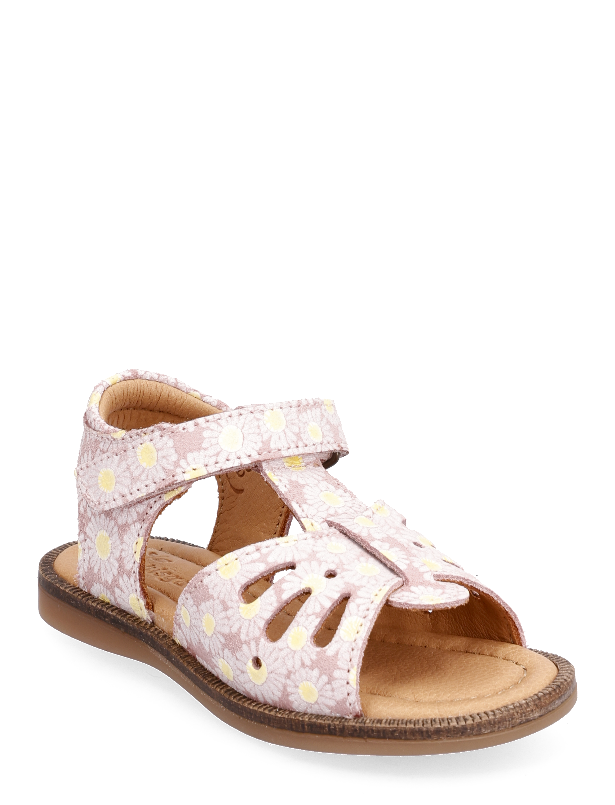 bisgaard cassidy o - ROSE FLOWERS